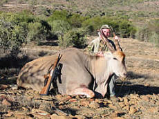 Hunting Thembalethu Safaris, Game Ranch, Hunting Safaris, Jansenville, Karoo