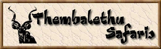 Thembalethu Safaris, Game Ranch, 4x4, Hunting Safaris, Jansenville, Karoo